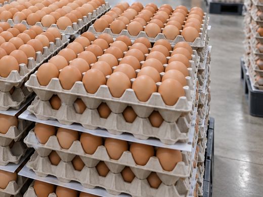 Pulp trays of brown eggs stacked several layers high on a pallet in a packing warehouse.